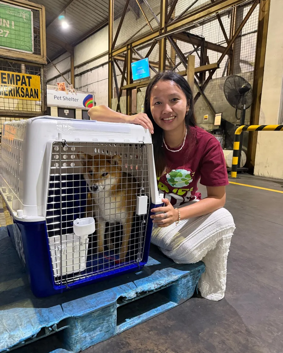 Pet Travel Indo team member beside a Shiba Inu in its travel crate at the Jakarta cargo inspection area