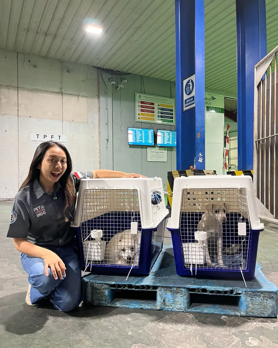 Pet Travel Indo team member with two pets in labelled travel crates at the Jakarta cargo terminal