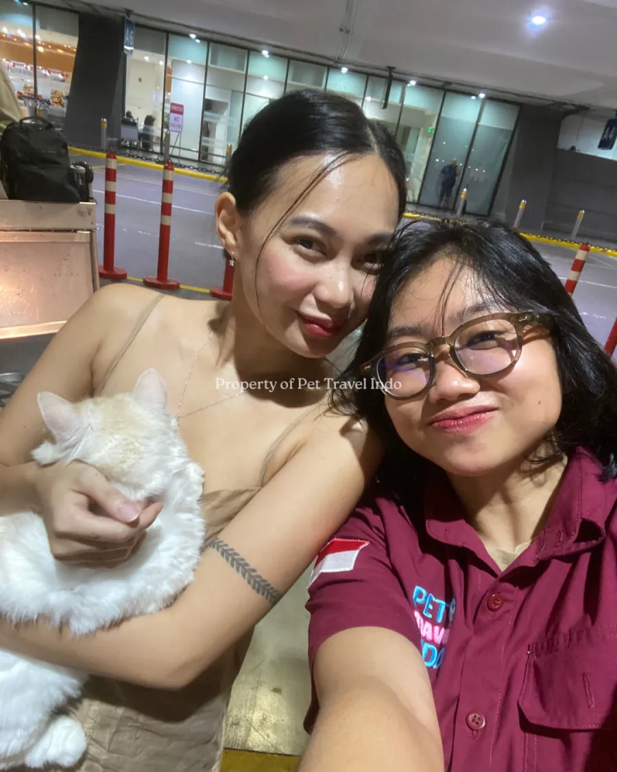 Pet Travel Indo escort and a happy owner holding her cream cat at the handover