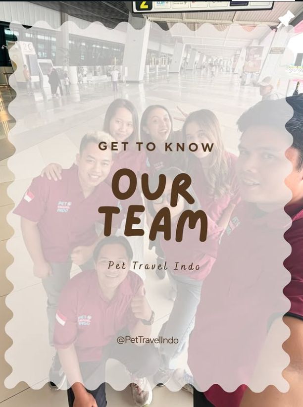 The Pet Travel Indo team, get to know us